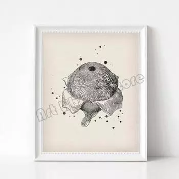 Винтажный плакат с анатомией человеческого глаза для медицинского образования, холст, живопись, настенное искусство, картины, офтальмологическая клиника, домашний декор, подарок 21cm30cm NoFrame