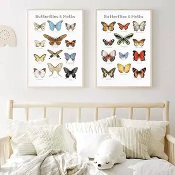 Винтажный постер с бабочками и насекомыми, холст, картина, биология, образование, исследование, принты, настенные художественные фотографии, домашний декор для гостиной 21x30cm No Frame