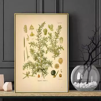 Винтажный постер с ботаническими цветами и принтом фруктов, картина, настенное искусство, скандинавский минималистичный растительный лист, холст, картина для домашнего декора 21cm30cm NoFrame