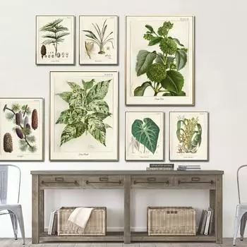 Винтажный постер с дикими растениями, ботанический цветок, учебный постер для гостиной, холст, картина, анатомическая картина, эстетический домашний декор 21x30cm No Frame