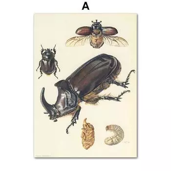 Винтажный постер с насекомыми-жуками, образец ретро-иллюстрации, настенная живопись на холсте, постеры и принты, картина для гостиной без рамки 21*30cm
