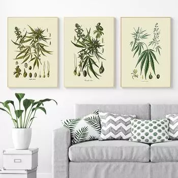 Винтажный постер с растением, настенная картина для кухни, травы, травы, лекарственные растения, картина маслом, современная гостиная, украшение для дома, принт 21x30cm No Frame