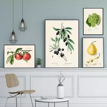 Винтажный Ретро постер с фруктами, авокадо, клубникой, скандинавский холст, картина, настенные художественные картины, принты для декора кухни и комнаты 21X30cm No Frame