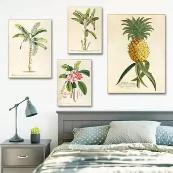 Винтажный тропический ботанический принт, антикварные пальмы, ананас, постер, настенная живопись, холст, картина для гостиной, домашний декор 21x30cm No Framed