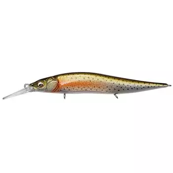 VISION GLX Rainbow ONETEN+1 Jr.