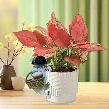 Висячая статуя животного, милая скульптура, садовый цветочный горшок из смолы, украшение для объятий Style A