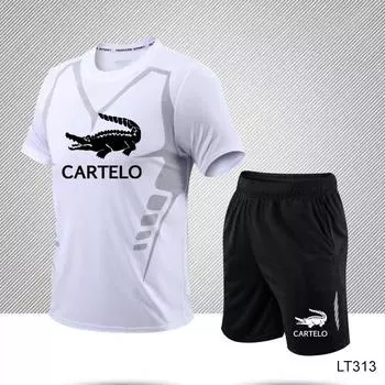 Влагоотводящие и быстросохнущие беговые футболки, шорты, спортивные мужские и женские комплекты с принтом весна-лето 2024 г. M белый