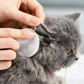 Влажные салфетки для кошек, наполнители для кошек, средства для удаления слезных пятен, аксессуары для домашних животных, собак, наборы для чистки ушей, удаление ушной серы, салфетки для напальчников
