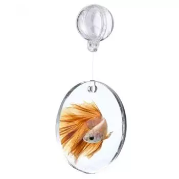 Водные растения Пейзаж Бетта Тренировочное зеркало для аквариума Акриловое зеркало для упражнений с рыбками 4/5/6 см Двустороннее