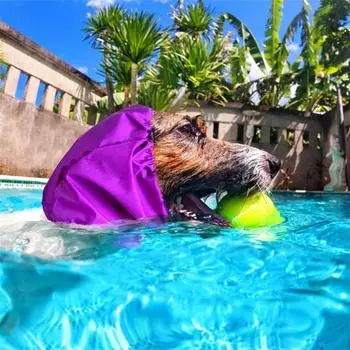 Водонепроницаемая шапочка для купания домашних животных, регулируемая пряжка, защита ушей собаки, шапочка для душа, предотвращает проникновение воды красный