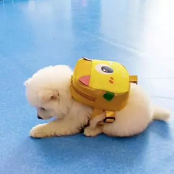 Водонепроницаемая сумка для шлейки для щенков, для маленьких и средних собак, для прогулок с домашними животными, рюкзак для пуделя, самоеда, кошки, mascotas perros accesorios Chest 35-51cm