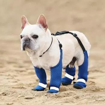 Водонепроницаемые ботинки для собак Yousheng, регулируемые защитные нескользящие ботинки для собак с подтяжками, обувь для прогулок на открытом воздухе, леггинсы для зимы, снега, дождя, походов S синий