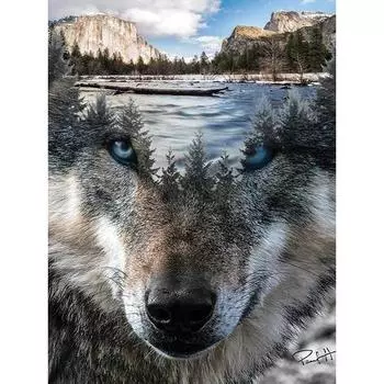 Волк DIY 5D алмазная живопись полный круглый горный хрусталь картины животных Алмазная вышивка крестиком мозаика домашний декор Full Round 20x25CM