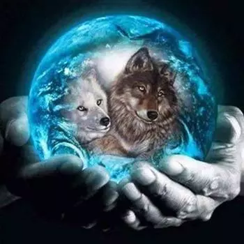 Волк DIY 5D алмазная живопись полный круглый горный хрусталь картины животных Алмазная вышивка крестиком мозаика домашний декор Full Round 20x20CM