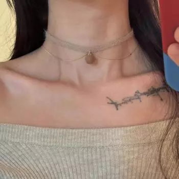 Волосатая кофейная роза колье шея цепочка женская осень и зима простая ключичная цепочка высокого класса изящный воротник прилив