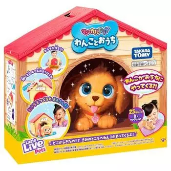 Волшебная собака и дом своими руками