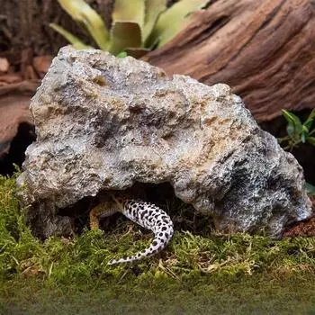 Восхождение Домашнее животное Моделирование Скальный Пейзаж Смола Сокрытие Дворца Пещера Ящерицы Сокрытие Цератофриса Пустыня Домашнее животное Сокрытие объекта small size