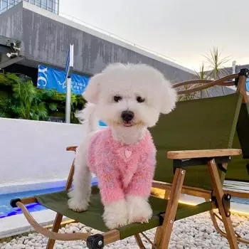 Вязаная одежда для собак и кошек, утепленный кардиган S фиолетовый