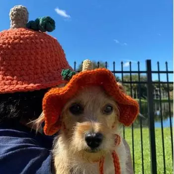 Вязаная шапка с медвежьими ушками для взрослых, осенне-зимняя теплая утолщенная маска, интегрированная шерстяная шапка Pet hat average size 25-30cm