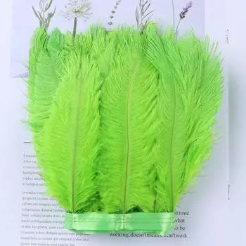 Вся ткань из страусиных перьев, аксессуары для одежды, материал, ткань из страусиных перьев, пояс, поделки, юбка, пояс 10 м 5-10CM