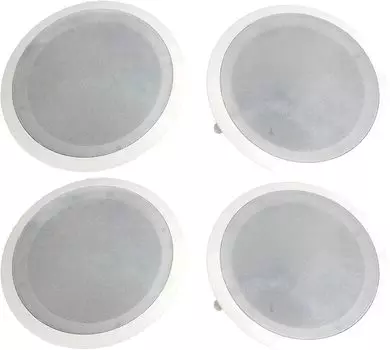 Встраиваемый двухполосный динамик с максимальной выходной мощностью 250 Вт, номинальной выходной мощностью 125 Вт, частотой 1250 Вт, круглым полимерным купольным твитером и высокотемпературным звучанием.