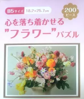 VX Jigsaw Puzzle 200 Pieces B5 Size x Framed 18.2 25.7cm JP-201