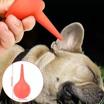 Выдувание воздушного шара Камера Компьютерная очистка от пыли Выдувание пылевого шара Суккулентное растение Воздушный выдувной шар