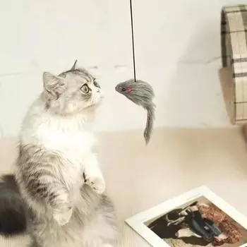 Выдвижная игрушка-перо для кошек, подвесные интерактивные игрушки для домашних кошек, игра-погоня за котятами, упражнения-дразнилка с кошачьей мятой one-size темно-серого
