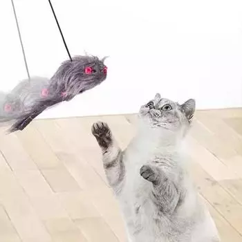 Выдвижная игрушка-перо для кошек, подвесные интерактивные игрушки для домашних кошек, игра-погоня за котятами, упражнения-дразнилка с кошачьей мятой one-size темно-серого