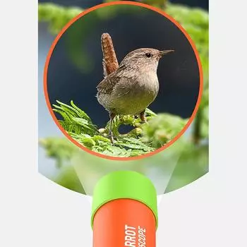 Выдвижной телескоп Ручной монокулярный телескоп Легкий детский телескоп Походный телескоп для кемпинга Детские подарки