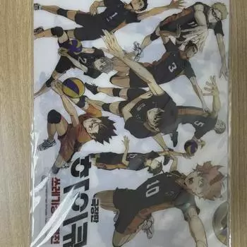 Выгода за предварительный заказ фильма Haikyu A5