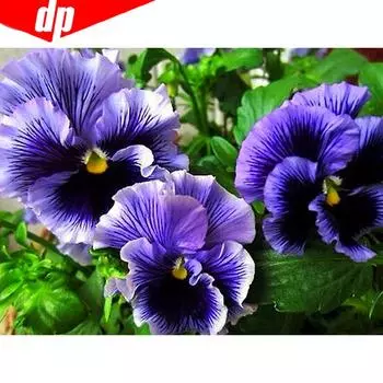 Вышивка крестом Смола Цветок 5D Алмазная картина Горный хрусталь Мозаика DIY Полный круглый бриллиант 20X30CM