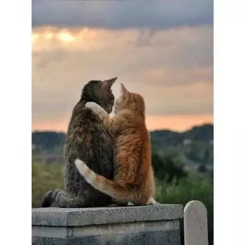 Вышивка ручной работы 5D алмазная вышивка мозаика DIY алмазная живопись алмазное настенное искусство декор Full Round 20X30CM