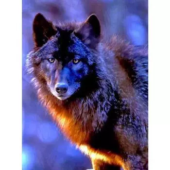 Вышивка Ремесла Алмазная Стежка Живопись Стразами Вышивка Алмазным Искусством Стены Искусства Декор Full Round 20X30CM