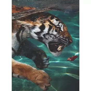 Вышивка ручной работы DIY Алмазная картина 5D Алмазная вышивка Мозаика Подарочный Алмазный Декор для стен Full Round 20X30CM