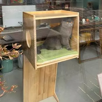 Высокий цельный деревянный столб для кошек, стеклянный надувной домик, логово, настенные кошачьи царапки, большая башня-кровать для кошек, игрушка для дома
