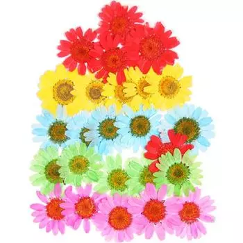 Высокое качество 25 шт./пакет консервированные цветы прессованные цветы мини-цветы популярные самодельные сухоцветы домашнее украшение маленький уникальный 7