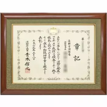 Высококачественная наградная табличка с роскошным акрилом размером x для помещений с УФ-излучением (отсекает 90% лучей) (Награда/B3 (365 515)) золотой