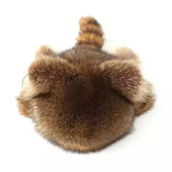 Высококачественная натуральная меховая шапка из енота, зимняя классическая фэн-шапка для родителей, стильная кошачья шапка с маленьким хвостом M0I8 A-One size