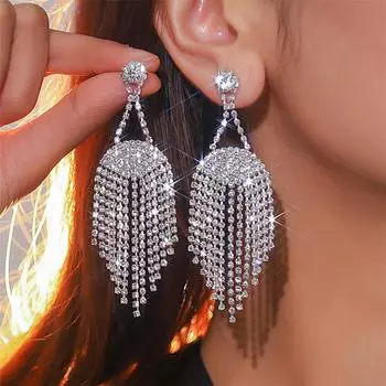 Высококачественные длинные серьги с бриллиантами и бахромой для женщин, знаменитости из Интернета, новые легкие серьги-гвоздики класса люкс серебряный