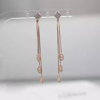 Высококачественные серьги-клетки с длинной кисточкой из циркония, супер сказочный темперамент, легкие роскошные серьги, новый стиль, чтобы показать тонкие серьги