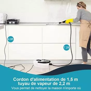 Высокотемпературный паровой очиститель 2500 Вт Бытовая техника Кухонная вытяжка Машина для чистки автомобилей Кислотостойкая стерилизация 110 В 220 В us&110V белый