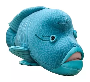 Взлет Море и Рыба Рыба Наполеон