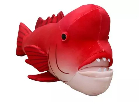 Взлет Моря и Рыбы Кобудай