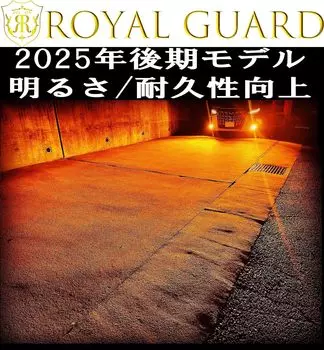 Взрывоопасный светодиод H11 H16 H8 совместимый янтарный светодиодный противотуманный фонарь 15100LM японский бренд Royal Guard Zero светодиодный противотуманный фонарь янтарь