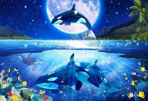 в пазле Beverly 1000 элементов Eternal Moon x [Сделано в Японии] (49 72см) 81-133