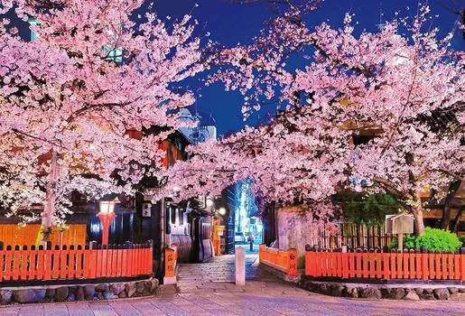 в пазле Beverly 1000 элементов Gion Night Cherry Blossoms x [Сделано в Японии] (49 72см) 1000-050