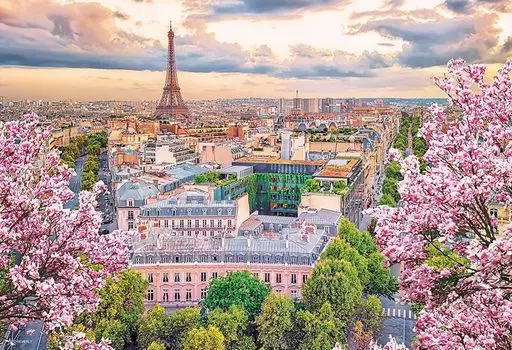 в пазле Beverly 500 Small Piece Puzzle Flowers Blooming Paris x [Сделано в Японии] (26 38см) 500С-021