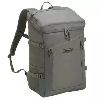 Walker Square Air Back Pack [Coleman] (Shining Gray)