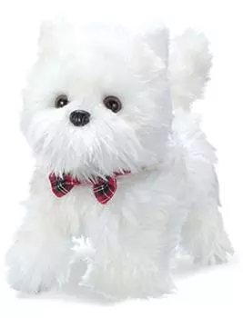 Walking Wanwan Maltese